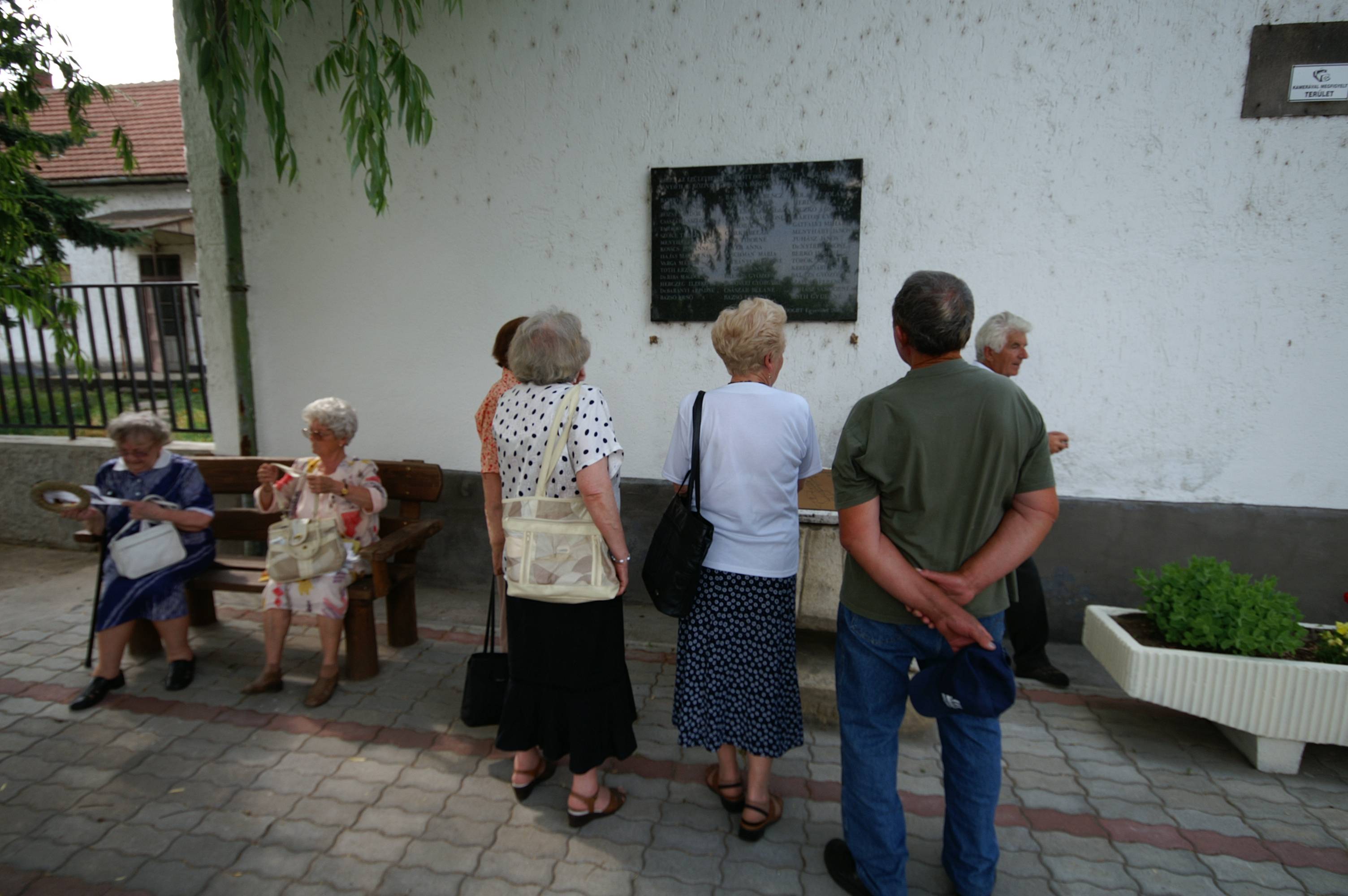 Koszoruzas-2011-06-04_15-29-19.jpg